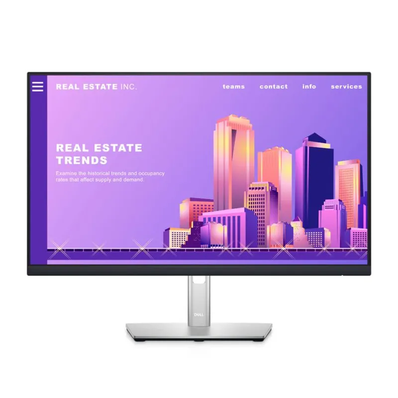 Ecran DELL P2422H 23.8" FULL HD IPS 60 HZ