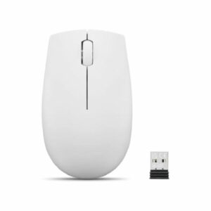 SOURIS OPTIQUE SANS FIL LENOVO COMPACT 300 AVEC BATTERIE - GRIS sigshop